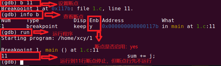 演示图片